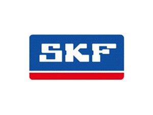 瑞典SKF轴承 润滑脂